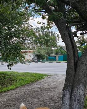 Дом 60м², 1-этажный, участок 12 сот.  