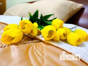 2-к квартира, посуточно, 62м2, 9/10 этаж