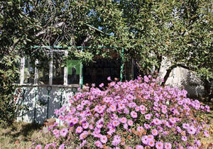 Студия квартира, на длительный срок, 14м2, 1/1 этаж