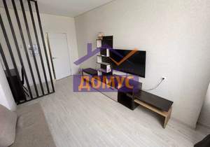 1-к квартира, на длительный срок, 35м2, 4/9 этаж