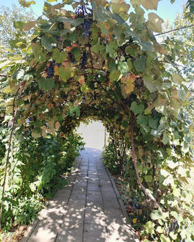 Студия квартира, на длительный срок, 32м2, 1/1 этаж