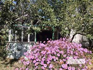 Студия квартира, на длительный срок, 35м2, 1/1 этаж