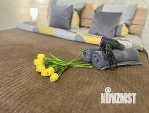 1-к квартира, посуточно, 44м2, 1/1 этаж