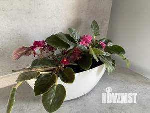 1-к квартира, посуточно, 42м2, 6/20 этаж