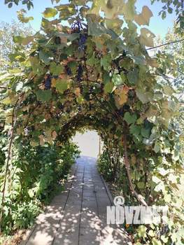 Студия квартира, на длительный срок, 35м2, 1/1 этаж