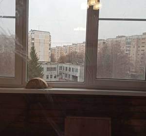 3-к квартира, вторичка, 60м2, 5/9 этаж