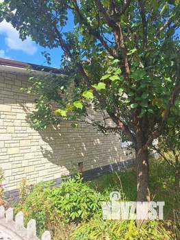 3-к квартира, вторичка, 50м2, 1/1 этаж