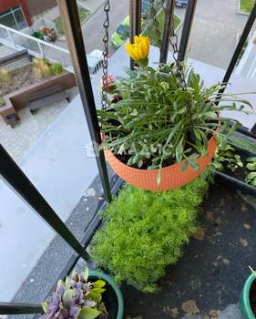 1-к квартира, вторичка, 41м2, 5/20 этаж