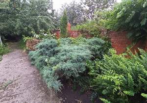 2-к квартира, вторичка, 53м2, 1/2 этаж