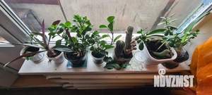 1-к квартира, вторичка, 39м2, 7/9 этаж