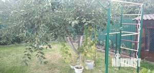 3-к квартира, вторичка, 80м2, 1/1 этаж