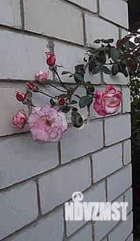 2-к квартира, вторичка, 44м2, 1/1 этаж